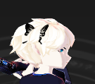 图片21.png