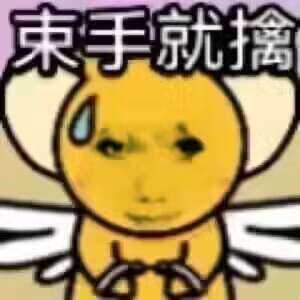 IMG_9305.jpeg